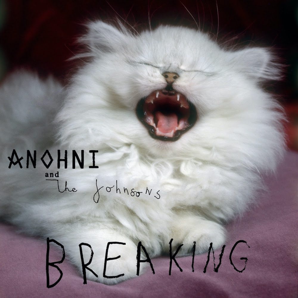 ANOHNI And The Johnsons – “Breaking”