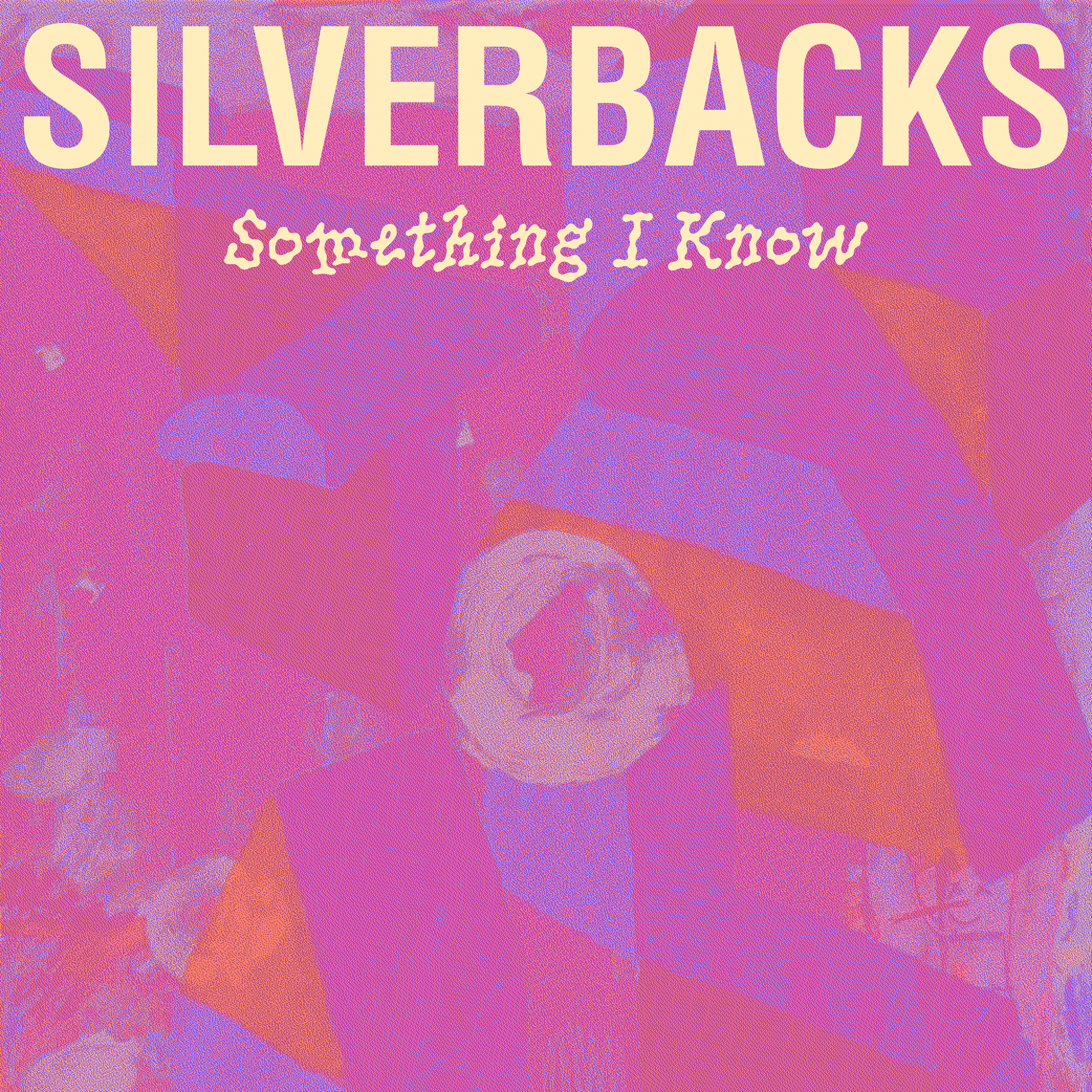 Silverbacks – “Something I Know”