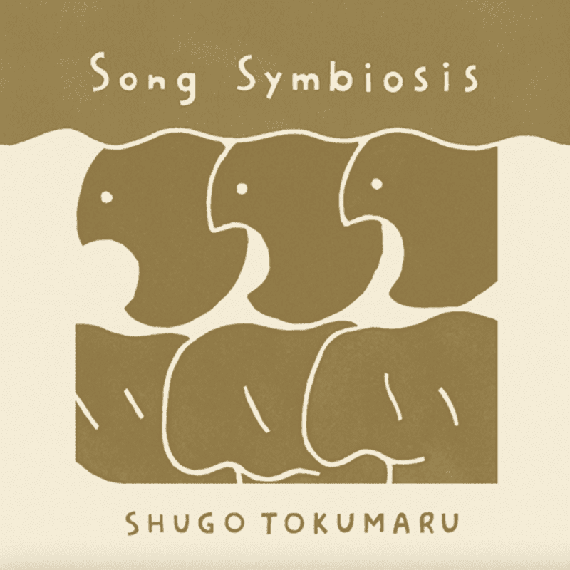 Shugo Tokumaru – “Frogs & Toads”