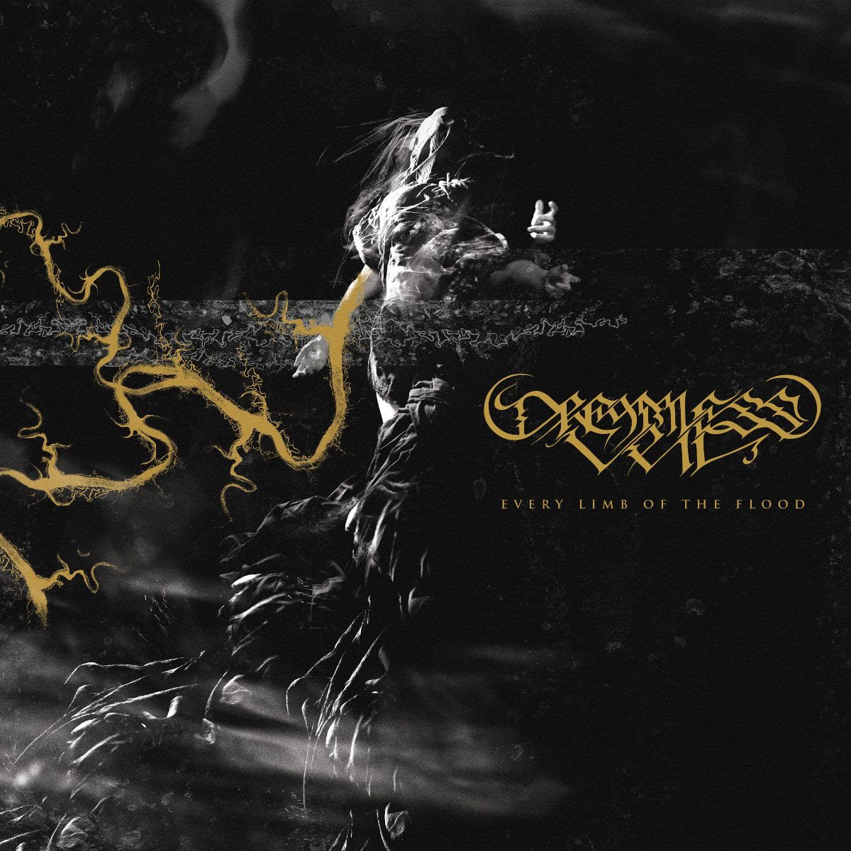 Dreamless Veil – “A Generation Of Eyes”