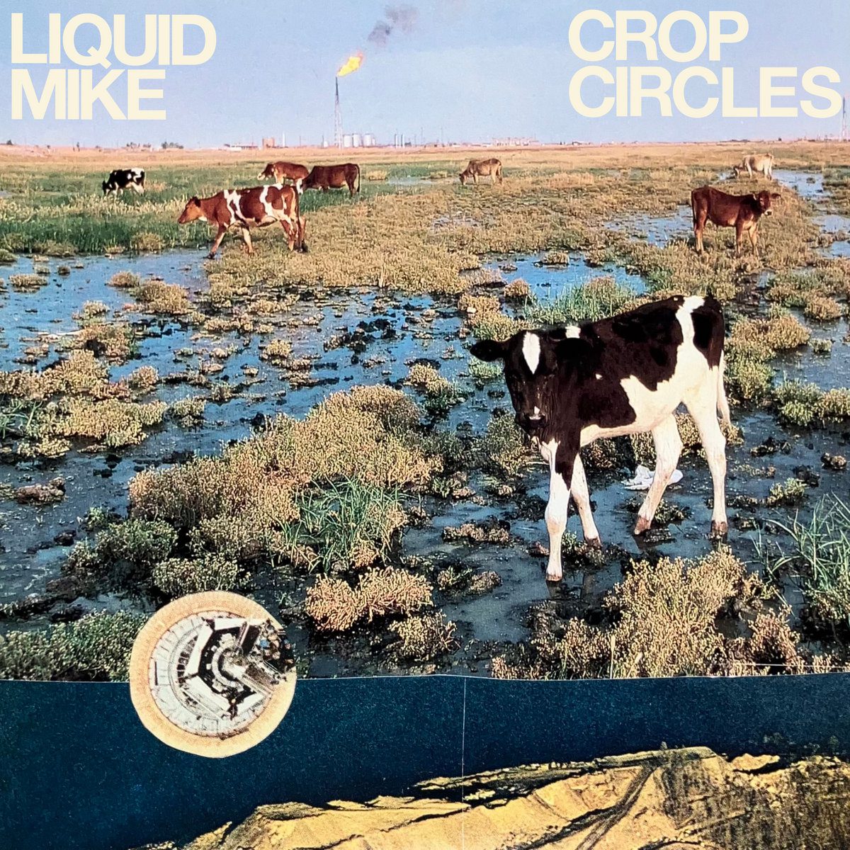 Liquid Mike – “Crop Circles”