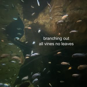 Stream Branching Out’s Infectious Debut EP all vines no leaves